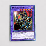 DARK PALADIN