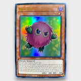 KURIBOH BROTHERS BUNDLE